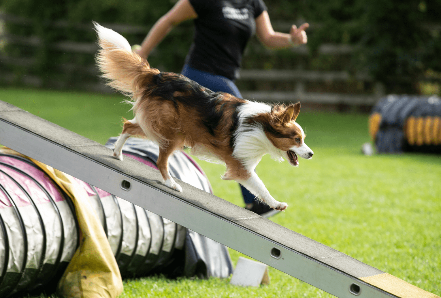 Unbenannt - 2026-02-21T120247.513