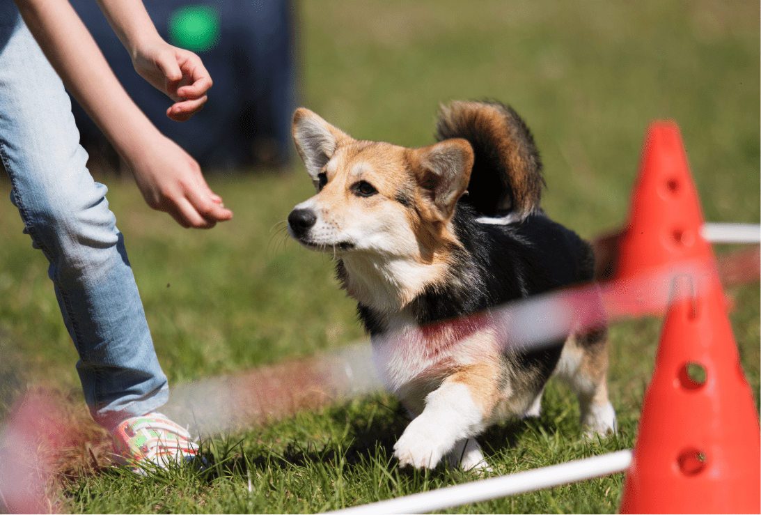 Unbenannt - 2026-02-21T172914.854