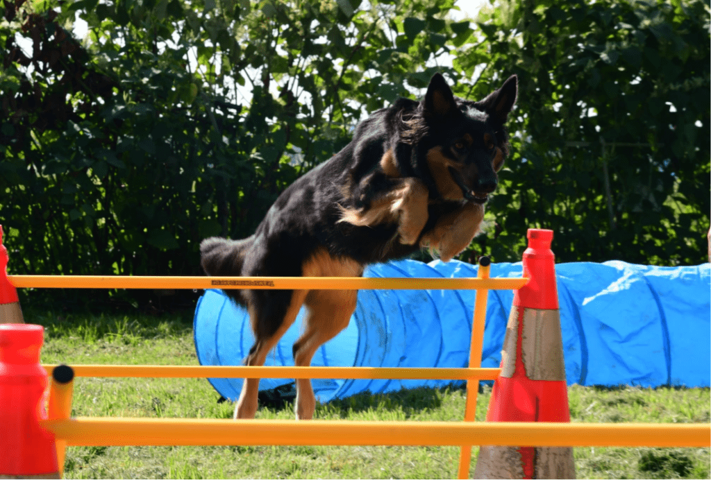 Unbenannt - 2026-02-21T173105.110