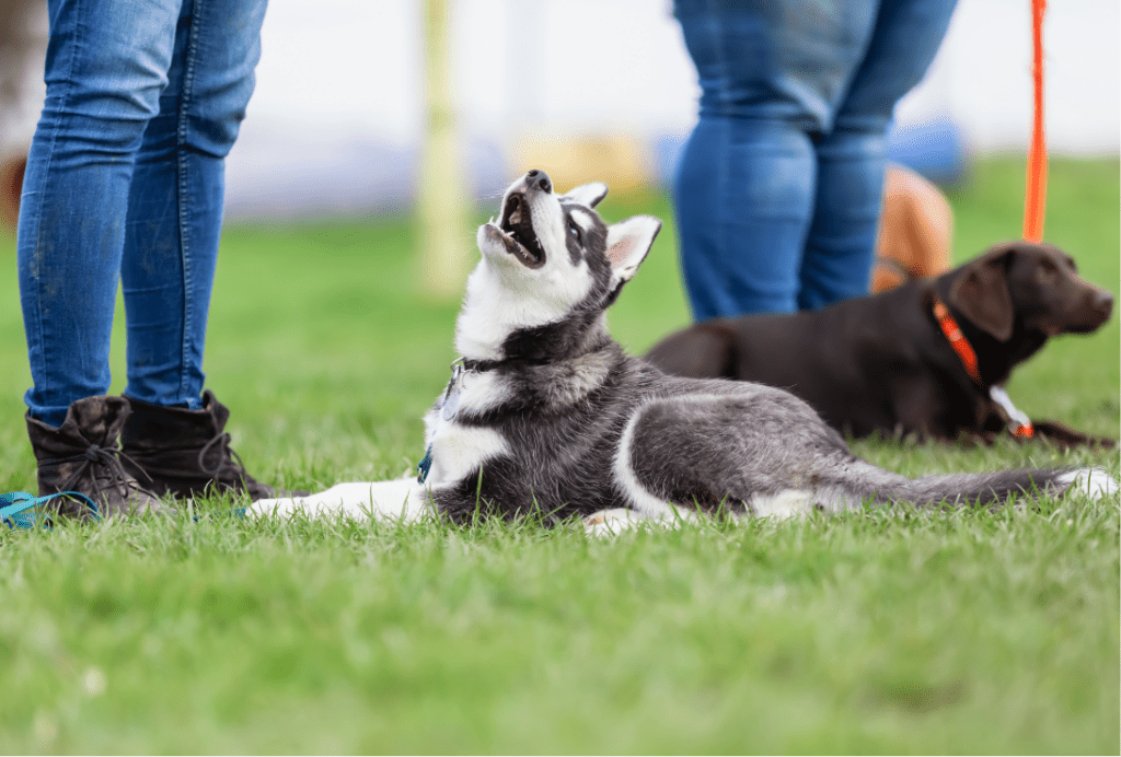 Unbenannt - 2026-02-21T173326.151